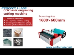Galvanometer Head Online-flying CCD Camera Auto Identification CO2 Laser Engraving Cutting Machine