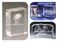 3D Effective Glass Gift Ball Crystal inner surface Laser Engraving Machine with high speed 5000 PIONTS / Second