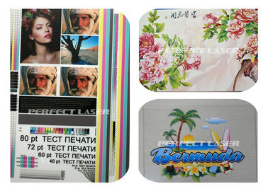 Full Color Industrial Inkjet Printer textile Digital Printing Machine 420mmX800mm